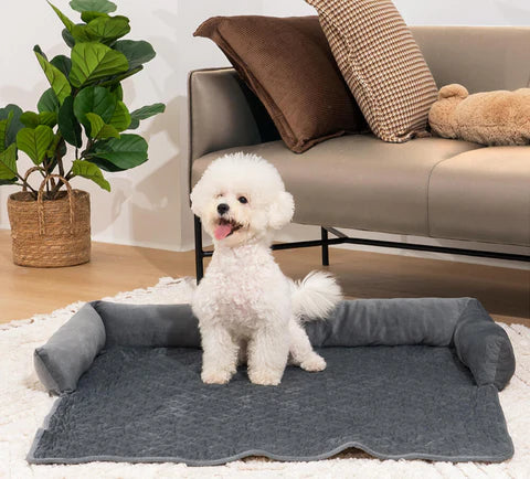 Luxury Pet Sofa Bed